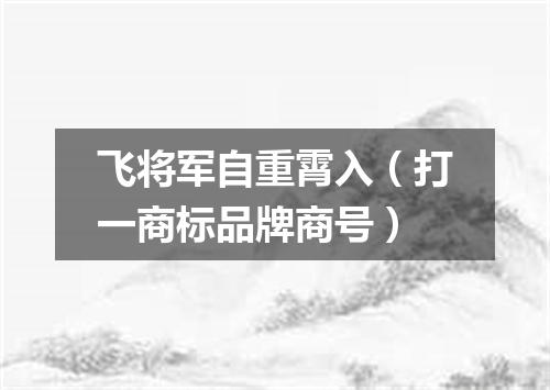 飞将军自重霄入（打一商标品牌商号）