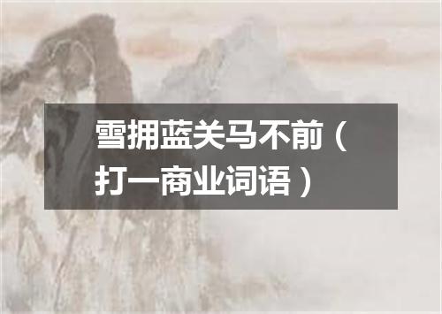 雪拥蓝关马不前（打一商业词语）