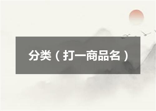 分类（打一商品名）