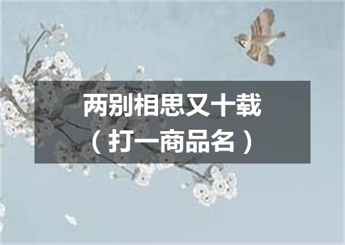 两别相思又十载（打一商品名）