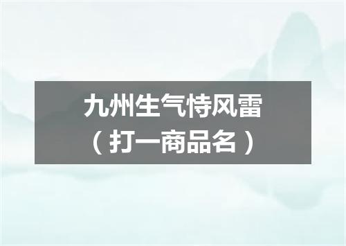 九州生气恃风雷（打一商品名）