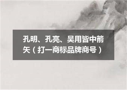 孔明、孔亮、吴用皆中箭矢（打一商标品牌商号）