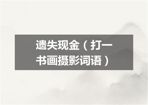 遗失现金（打一书画摄影词语）