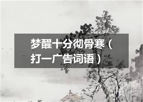 梦醒十分彻骨寒（打一广告词语）