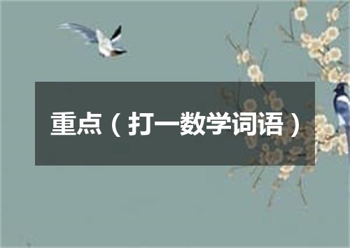 重点（打一数学词语）