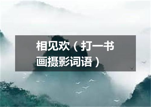 相见欢（打一书画摄影词语）