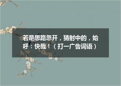 若是思路忽开，猜射中的，始呼：快哉！（打一广告词语）