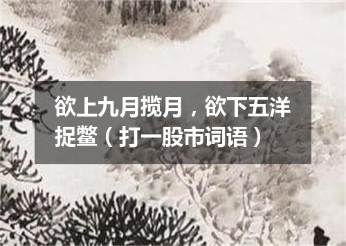 欲上九月揽月，欲下五洋捉鳖（打一股市词语）