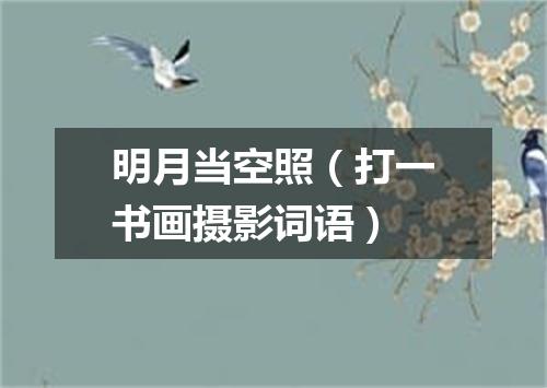 明月当空照（打一书画摄影词语）
