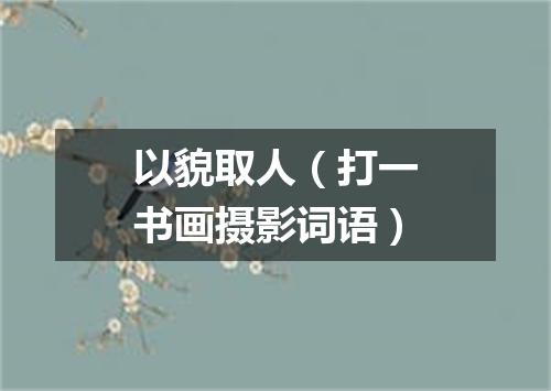 以貌取人（打一书画摄影词语）