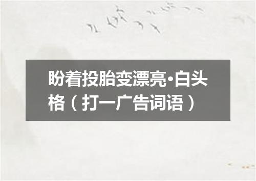 盼着投胎变漂亮·白头格（打一广告词语）