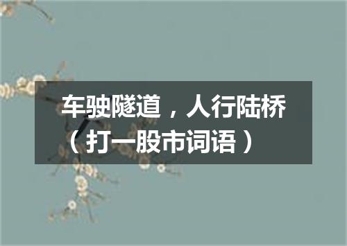 车驶隧道，人行陆桥（打一股市词语）