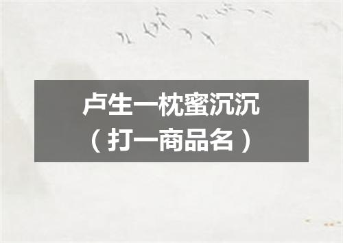 卢生一枕蜜沉沉（打一商品名）