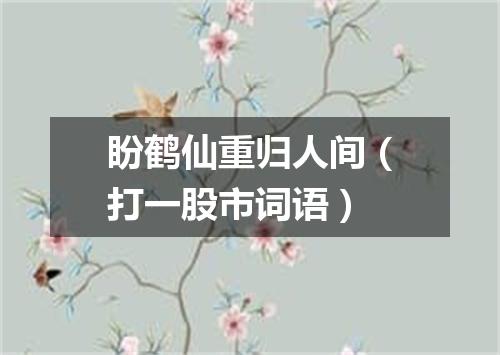 盼鹤仙重归人间（打一股市词语）