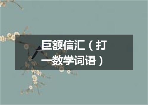 巨额信汇（打一数学词语）