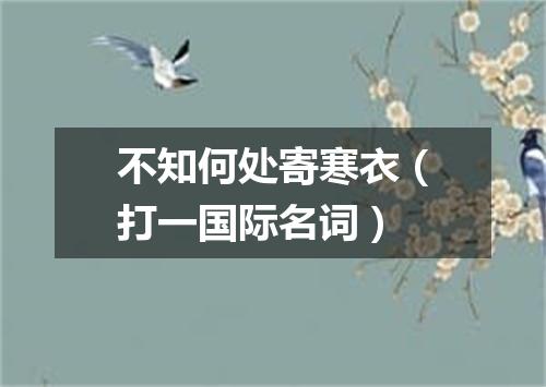 不知何处寄寒衣（打一国际名词）