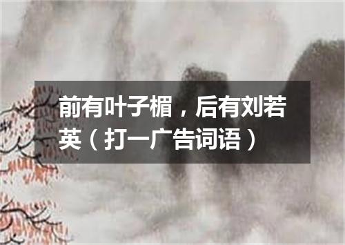 前有叶子楣，后有刘若英（打一广告词语）