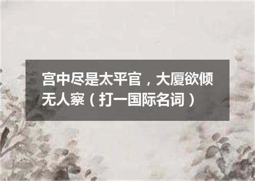 宫中尽是太平官，大厦欲倾无人察（打一国际名词）