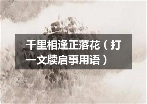 千里相逢正落花（打一文牍启事用语）