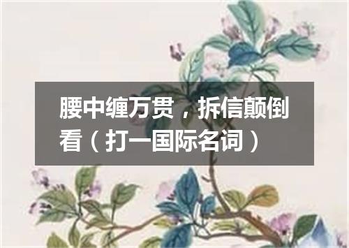腰中缠万贯，拆信颠倒看（打一国际名词）