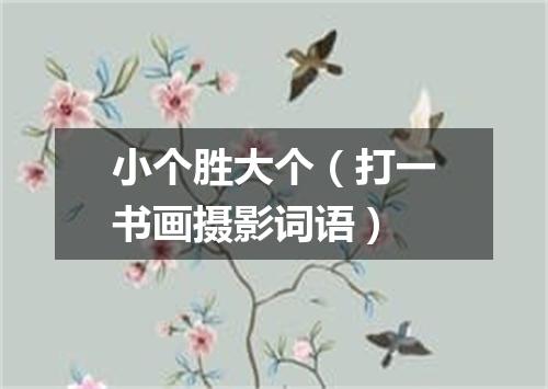 小个胜大个（打一书画摄影词语）