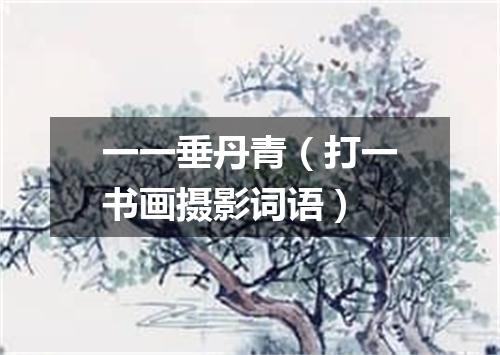 一一垂丹青（打一书画摄影词语）