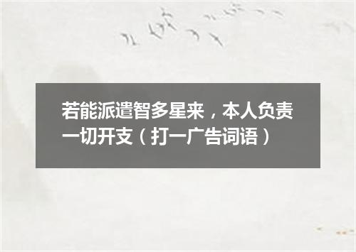 若能派遣智多星来，本人负责一切开支（打一广告词语）