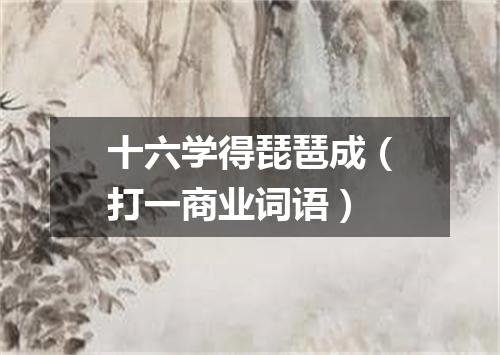 十六学得琵琶成（打一商业词语）