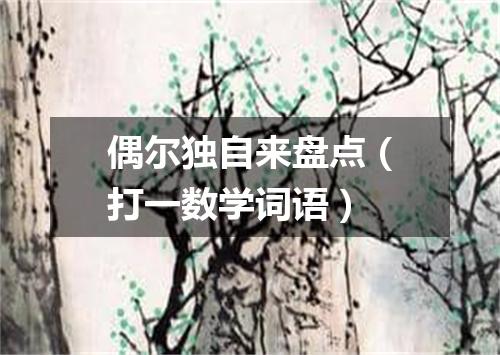 偶尔独自来盘点（打一数学词语）