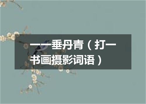 一一垂丹青（打一书画摄影词语）