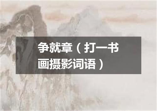 争就章（打一书画摄影词语）