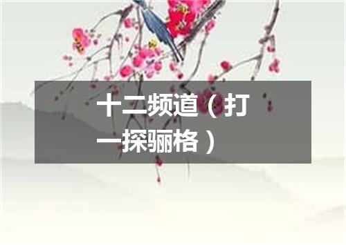 十二频道（打一探骊格）