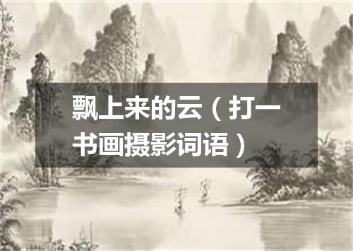 飘上来的云（打一书画摄影词语）