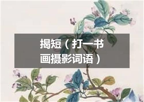 揭短（打一书画摄影词语）