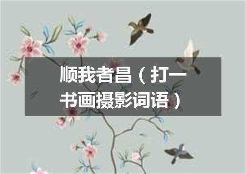 顺我者昌（打一书画摄影词语）