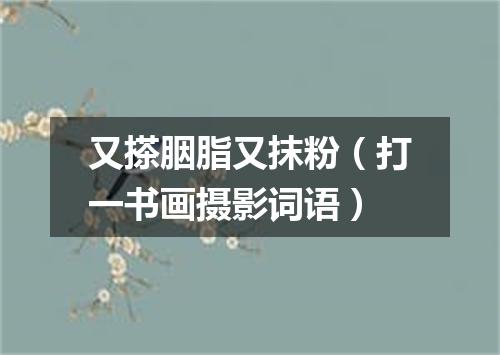 又搽胭脂又抹粉（打一书画摄影词语）