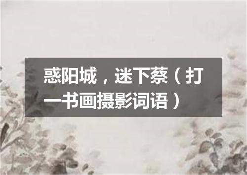 惑阳城，迷下蔡（打一书画摄影词语）