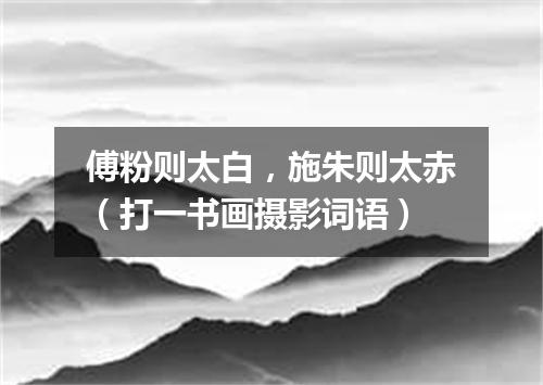 傅粉则太白，施朱则太赤（打一书画摄影词语）