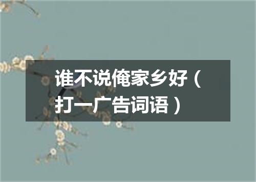 谁不说俺家乡好（打一广告词语）
