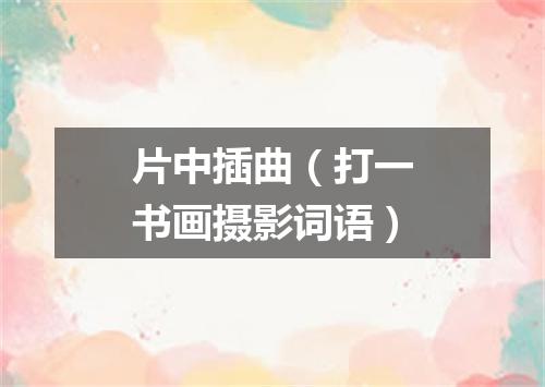 片中插曲（打一书画摄影词语）