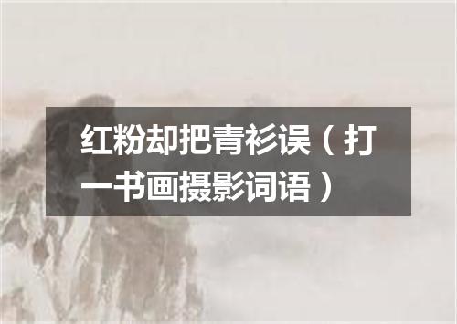 红粉却把青衫误（打一书画摄影词语）