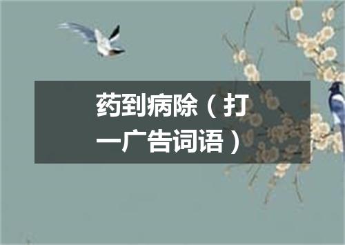 药到病除（打一广告词语）