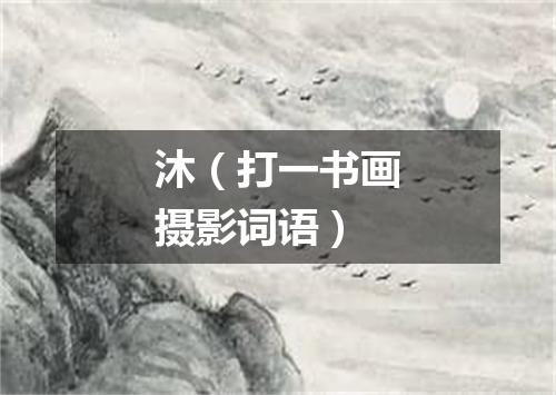 沐（打一书画摄影词语）