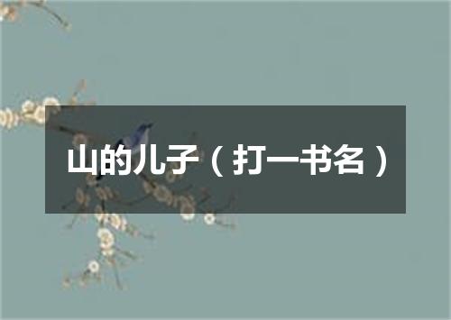 山的儿子（打一书名）