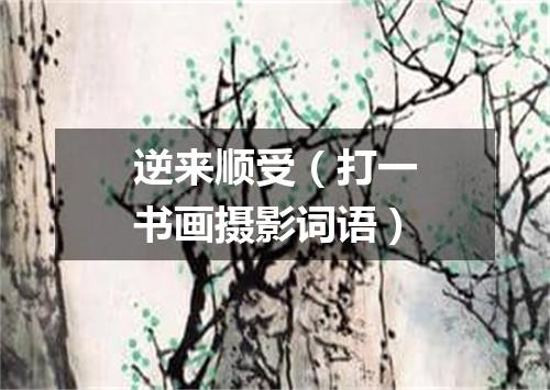 逆来顺受（打一书画摄影词语）