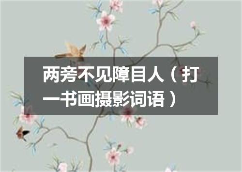 两旁不见障目人（打一书画摄影词语）