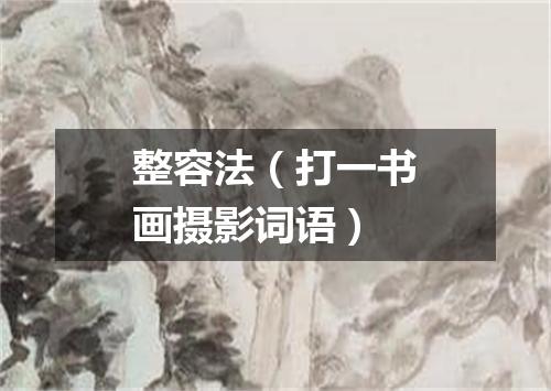 整容法（打一书画摄影词语）