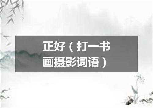 正好（打一书画摄影词语）