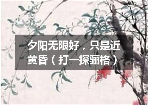 夕阳无限好，只是近黄昏（打一探骊格）