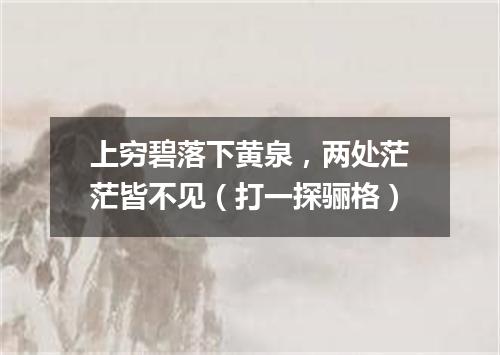 上穷碧落下黄泉，两处茫茫皆不见（打一探骊格）